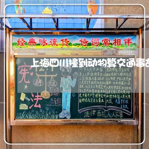上海四川撞到动物算交通事故吗/2023060294916 上海四川撞到动物算交通事故吗/2023060294916
