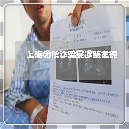 上海团伙诈骗罪退赃金额/2023022484824