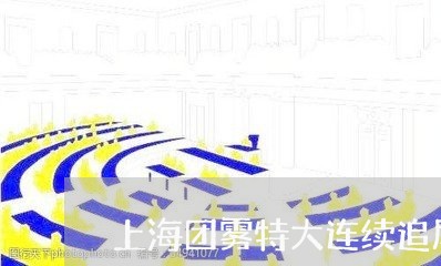 上海团雾特大连续追尾交通事故/2023060107149 上海团雾特大连续追尾交通事故/2023060107149