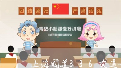 上海国道336交通事故/2023022473713