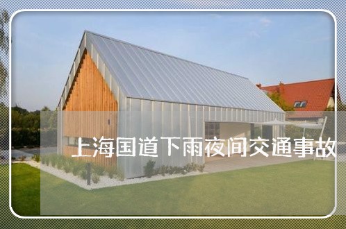 上海国道下雨夜间交通事故/2023031448251 上海国道下雨夜间交通事故/2023031448251