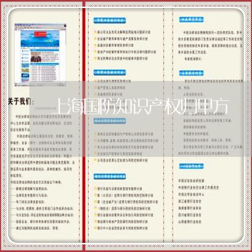 上海国防知识产权归甲方/2023022449450 上海国防知识产权归甲方/2023022449450