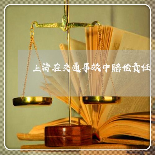 上海在交通事故中赔偿责任/2023031429460