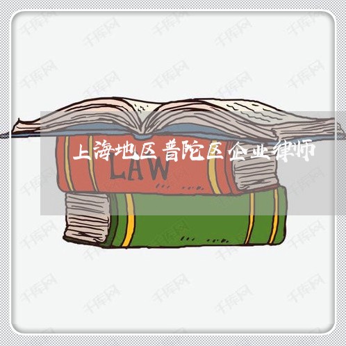 上海地区普陀区企业律师/2023022538495 上海地区普陀区企业律师/2023022538495