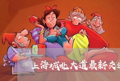 上海城北大道最新交通事故/2023031460314 上海城北大道最新交通事故/2023031460314