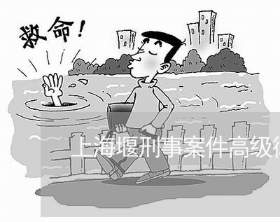 上海堰刑事案件高级律师/2023032249463