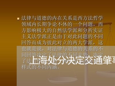 上海处分决定交通肇事罪/2023022528273