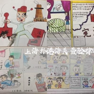 上海外港海关查验律师咨询