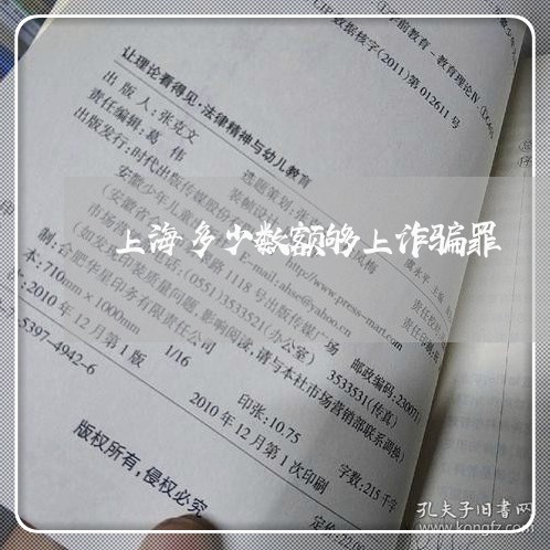 上海多少数额够上诈骗罪/2023022556270