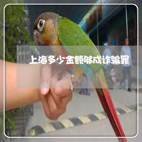 上海多少金额够成诈骗罪/2023022540360