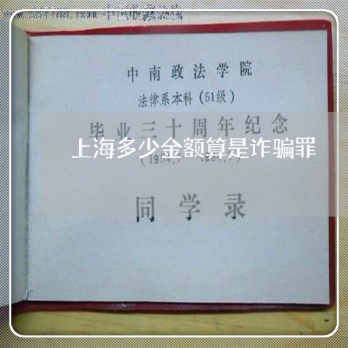 上海多少金额算是诈骗罪/2023022518159