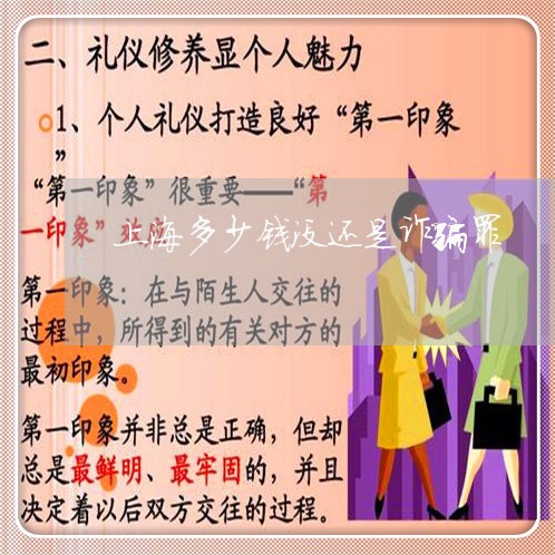 上海多少钱没还是诈骗罪/2023022520405