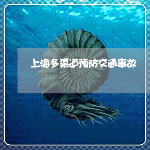上海多渠道预防交通事故/2023022572615