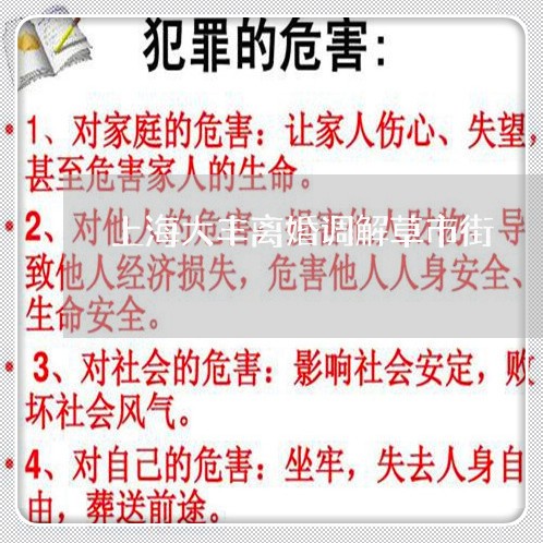 上海大丰离婚调解草市街/2023022573504
