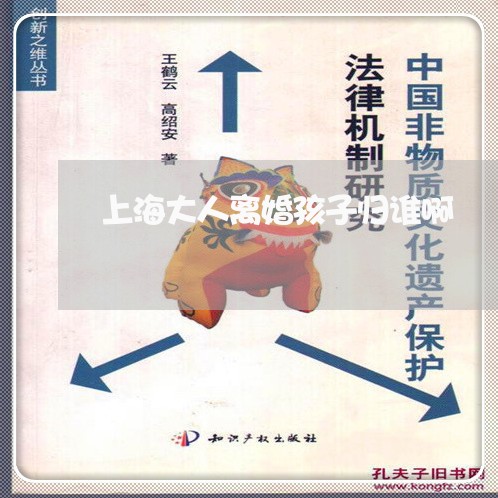 上海大人离婚孩子归谁啊/2023022574027