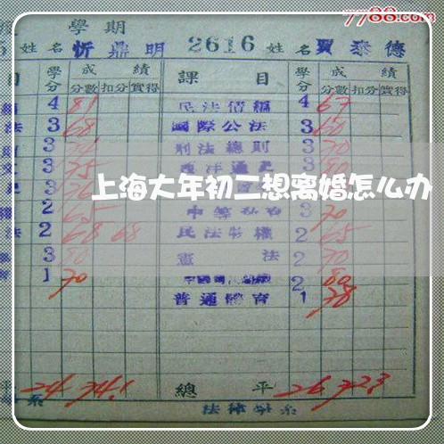 上海大年初二想离婚怎么办/2023031482504 上海大年初二想离婚怎么办/2023031482504