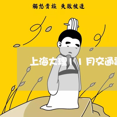 上海大理11月交通事故/2023022405138
