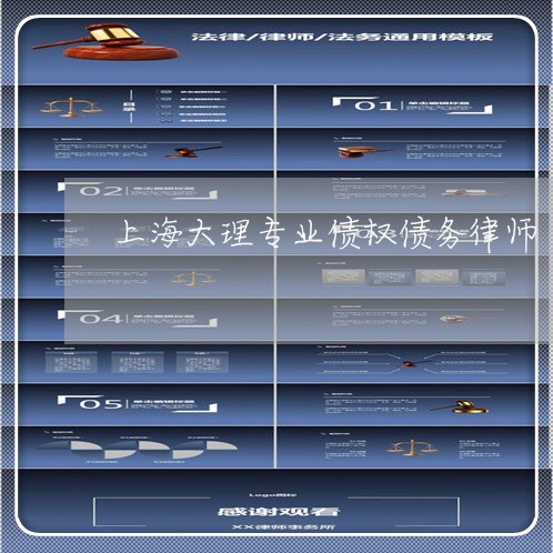 上海大理专业债权债务律师/2023031404916