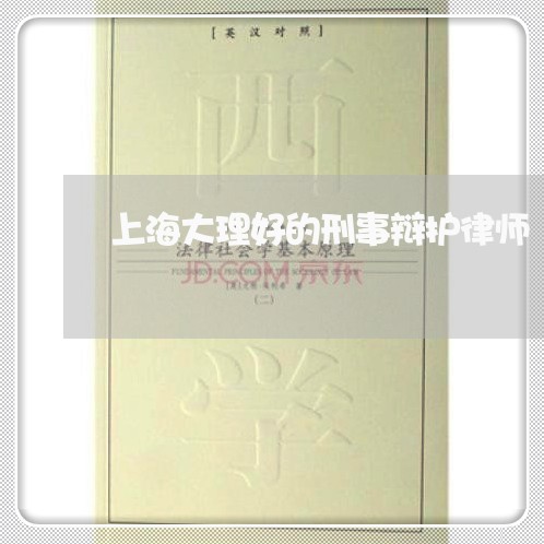 上海大理好的刑事辩护律师/2023031493038