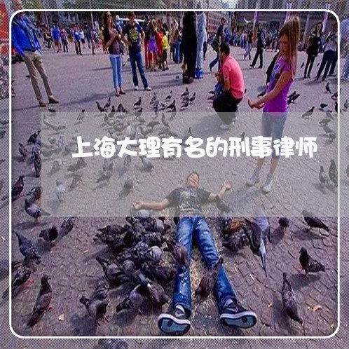 上海大理有名的刑事律师/2023022549282