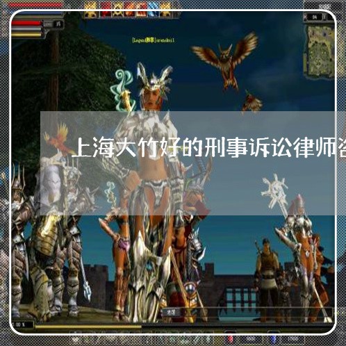 上海大竹好的刑事诉讼律师咨询/2023060284047