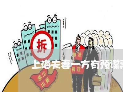 上海夫妻一方有预谋离婚/2023022533737 上海夫妻一方有预谋离婚/2023022533737
