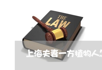 上海夫妻一方植物人怎么离婚/2023032827350