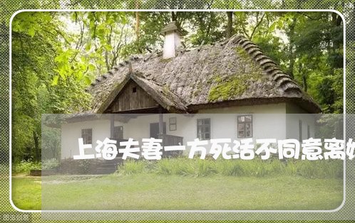 上海夫妻一方死活不同意离婚/2023032869693