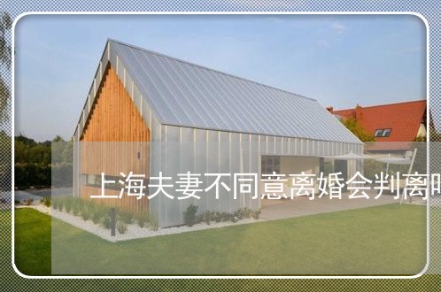 上海夫妻不同意离婚会判离吗/2023032870704