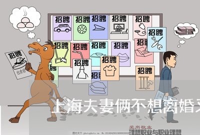 上海夫妻俩不想离婚又难和好/2023032853725