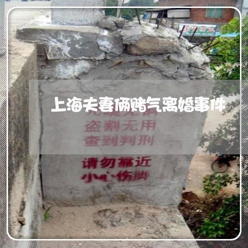 上海夫妻俩赌气离婚事件/2023022561592
