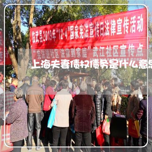 上海夫妻债权债务是什么意思/2023032838572