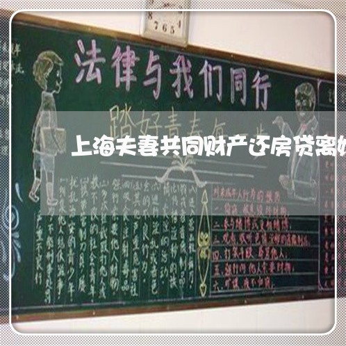 上海夫妻共同财产还房贷离婚/2023032835058 上海夫妻共同财产还房贷离婚/2023032835058