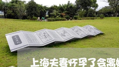 上海夫妻怀孕了会离婚吗/2023022539389