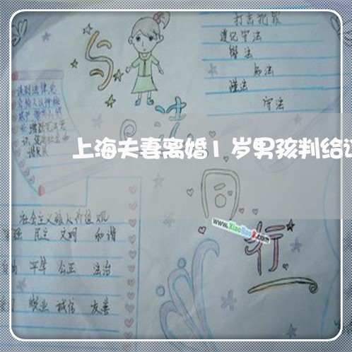 上海夫妻离婚1岁男孩判给谁/2023032864049