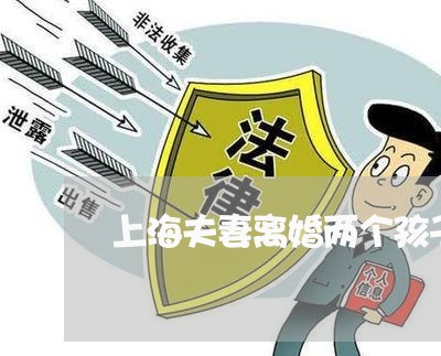上海夫妻离婚两个孩子怎么判/2023032851605