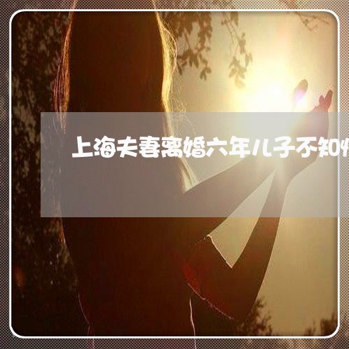 上海夫妻离婚六年儿子不知情/2023032851714