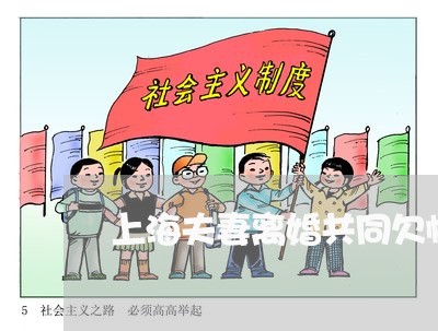 上海夫妻离婚共同欠帐谁来还/2023032838481 上海夫妻离婚共同欠帐谁来还/2023032838481