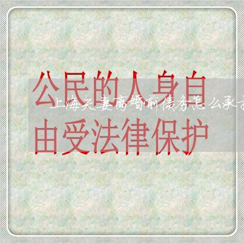 上海夫妻离婚前债务怎么承担/2023032816150 上海夫妻离婚前债务怎么承担/2023032816150