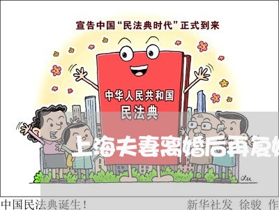 上海夫妻离婚后再复婚房产归谁/2023060213057