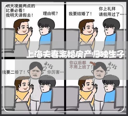 上海夫妻离婚房产归独生子/2023031473616