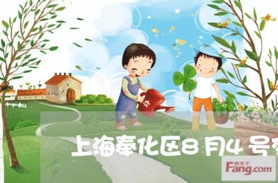上海奉化区8月4号交通事故/2023032813049 上海奉化区8月4号交通事故/2023032813049