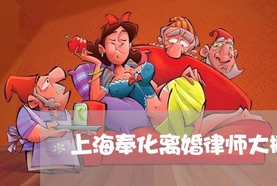 上海奉化离婚律师大概多少钱/2023032816139 上海奉化离婚律师大概多少钱/2023032816139
