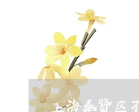 上海奉贤区不良资产律师/2023022548270