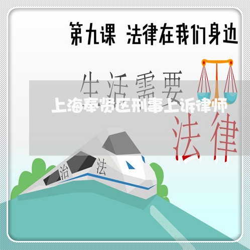 上海奉贤区刑事上诉律师/2023022594935