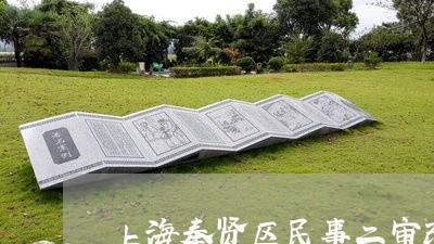 上海奉贤区民事二审改判律师/2023032806940