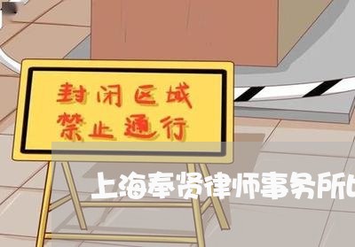 上海奉贤律师事务所比较好的/2023032895148