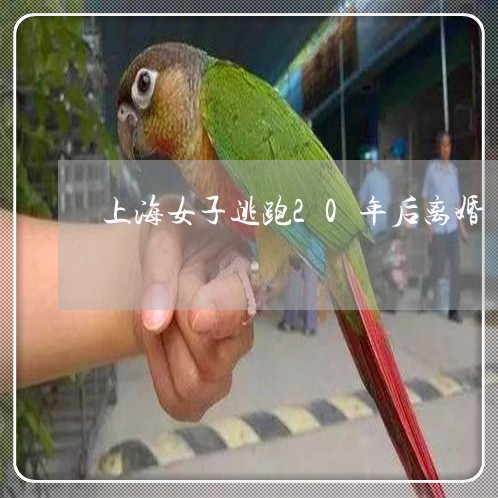 上海女子逃跑20年后离婚/2023031415979