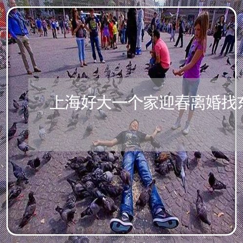 上海好大一个家迎春离婚找东西/2023060216059
