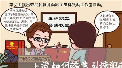 上海如何故意引诱犯故意伤害罪/2023060154069